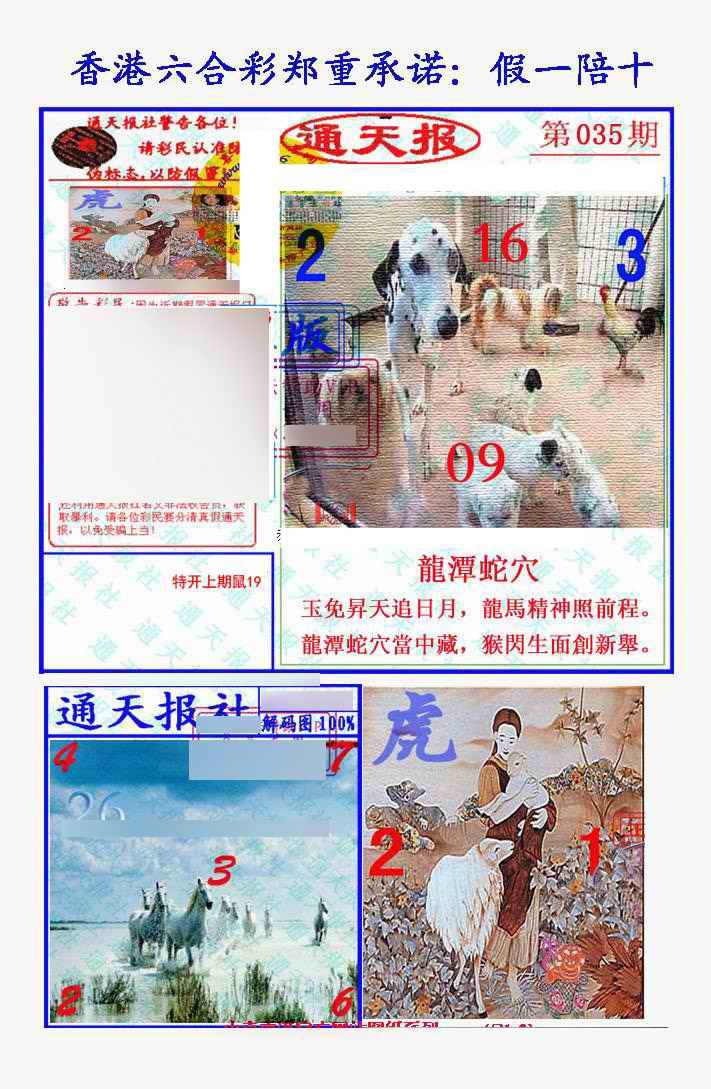 035期假一陪十通天报[图]