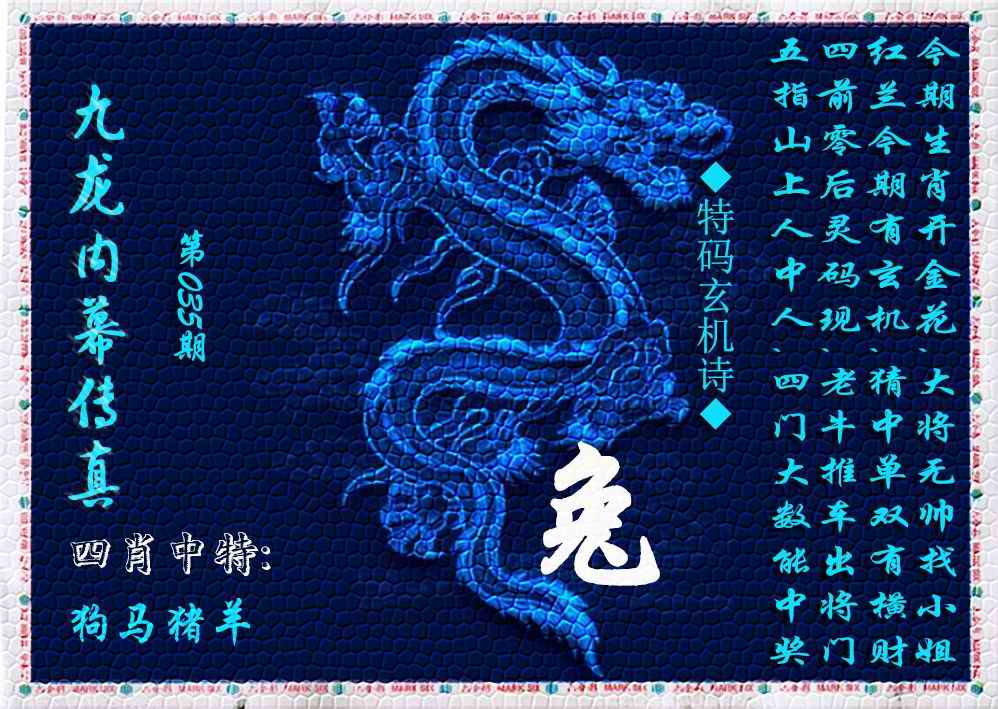 035期九龙内幕传真(新上市)[图]